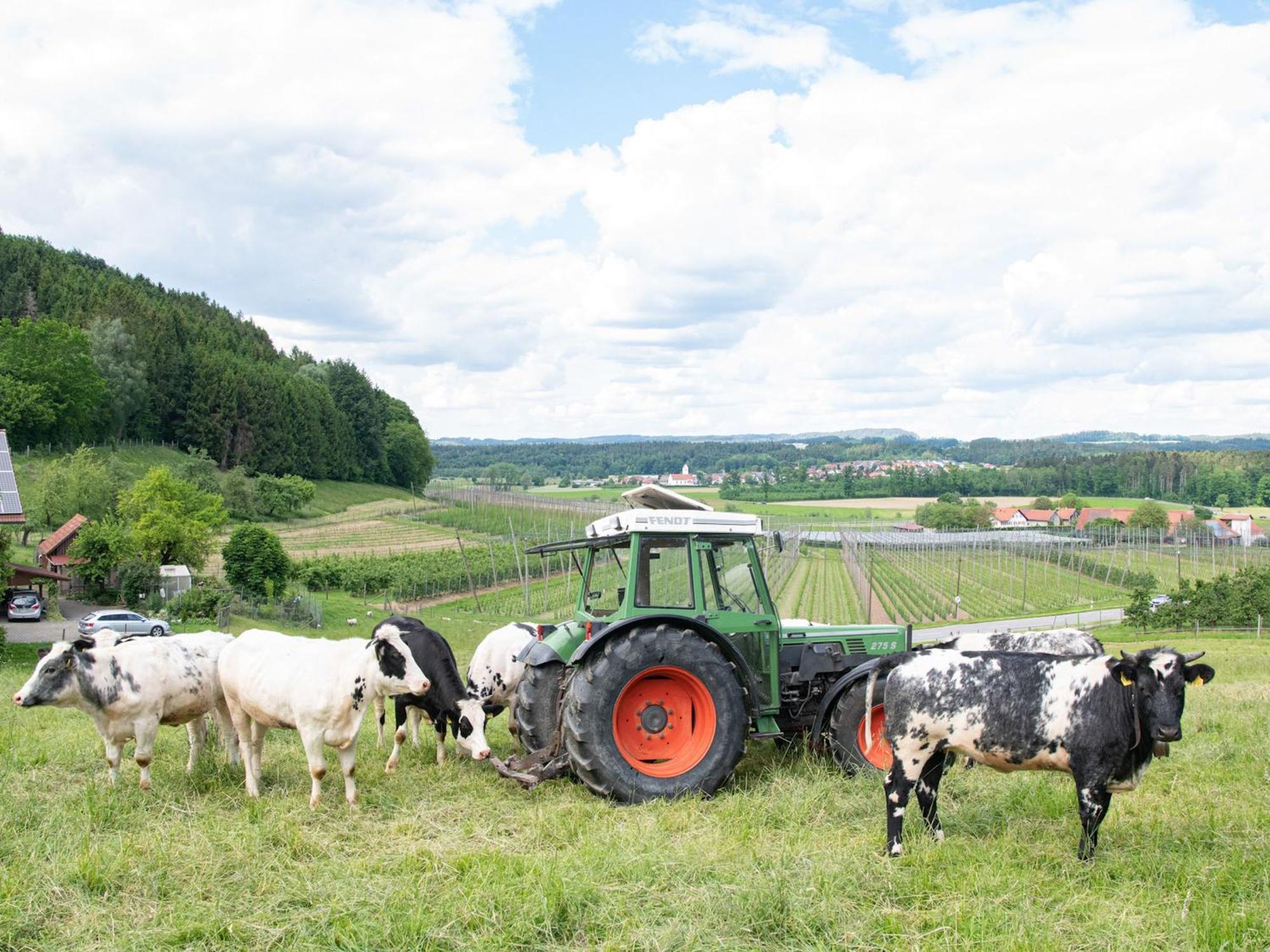 Ferienhof Biegger Tettnang Esterno foto